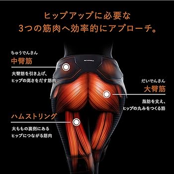 SIX PAD Bottom Belt Electrode Pad 純正品4箱 △MTG SIXPAD シックスパッド Bottom Belt ボトムベルト Mサイズ